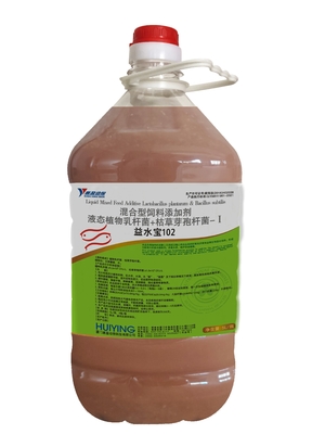 Aquaculture Probiotics , Animal Feed Additive Lactobacillus Plantarum Bacillus Subtilis Regulating Water Quality Algae P